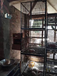 use cage for sell