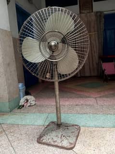 Royal pedestal Fan 03004833892