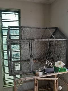 colony cage available