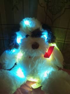 Teddy bear with multi colours full 12 Led different lights