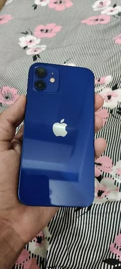 iphone 12 factory unlocked 128gb