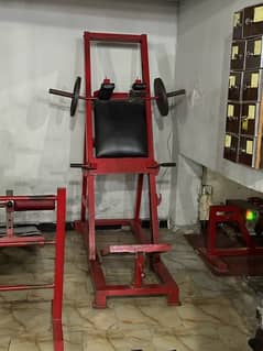 Hack Squat Machine