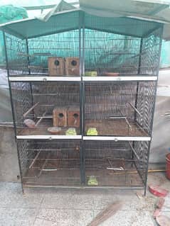 lovebird Cages