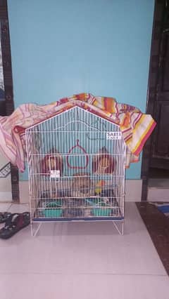 Pair of Lovebirds with Cage