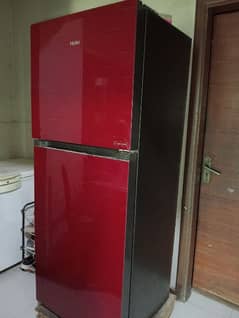 haier refrigerator