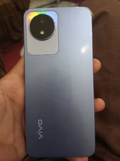 vivo