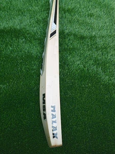 Hardball cricket bat 3