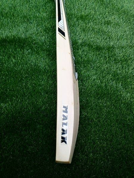 Hardball cricket bat 4