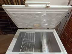 freezer  for sale haier company