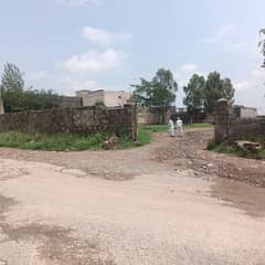 12 Land Commercial Plot Available for rent