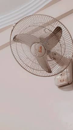 side Fan GfC