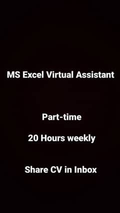 Virtual Assistant MS Excel 0