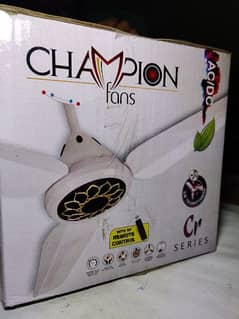 Champion fan AC DC