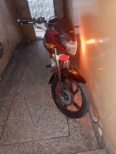 HONDA CBF125