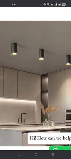 2 ceiling lights