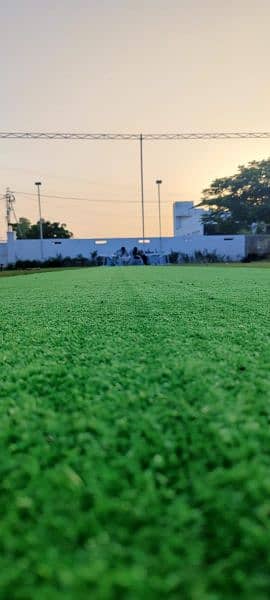 Grass Carpet Fake Artificial Grass Maintenance Free Garss Carpet 3