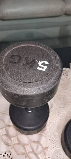 5 kg dumbbells