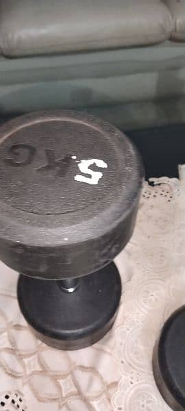 5 kg dumbbells 4