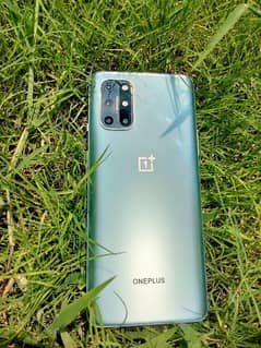 oneplus 8t 12/256