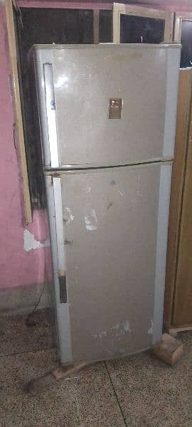 medium fridge 2