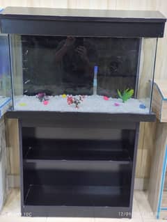 Brand New Aquariums for sale