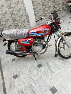 Honda 125 model 23/2024