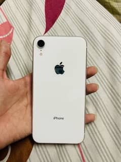 iPhone XR