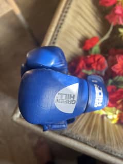 boxing gloves original green hill 10.0z