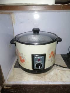 Nushi japan Deep fryer 10 by 10 condition