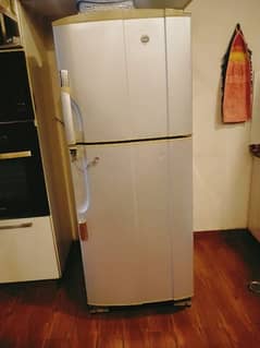 pel fridge for sale excellent performance