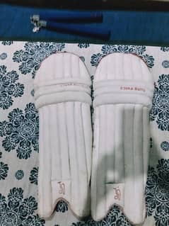 kids cricket pads 0