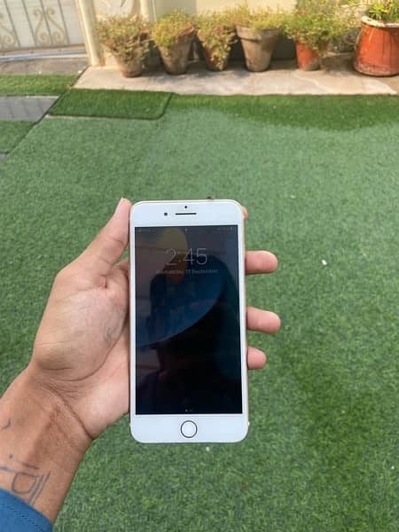 iphone 7 plus 128 gb pta approved 2