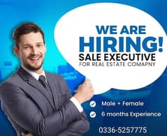 sales executive