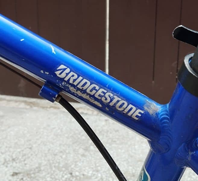 Bridgestone Bicycle 2