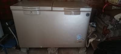 Refrigerator bilkul new just 2 month used