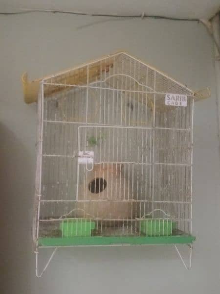 cages available for sale 1