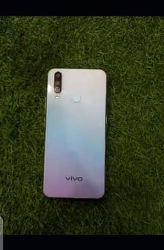 vivo