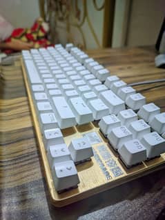 Mechanical Keyboard | Blue Switch | 60% Mechanical | MagicWare 0