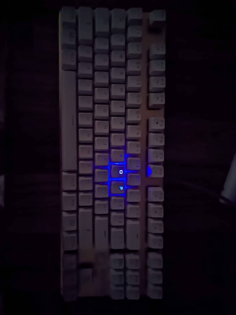 Mechanical Keyboard | Blue Switch | 60% Mechanical | MagicWare 1