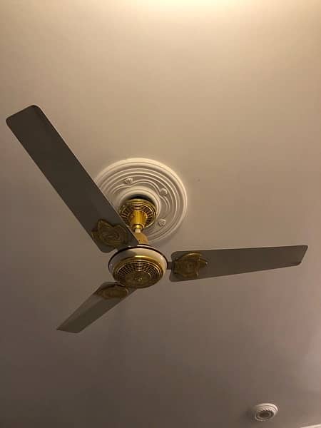 super Asia ceiling fan 1