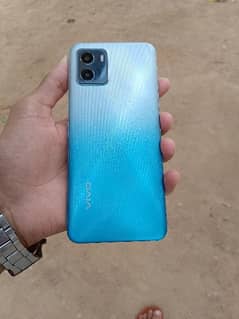 Vivo