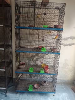 love bird with cage