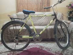 Phoenix cycle Urgent sale 0