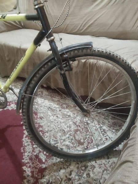 Phoenix cycle Urgent sale 2