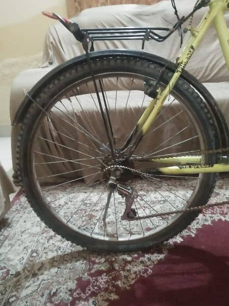 Phoenix cycle Urgent sale 3