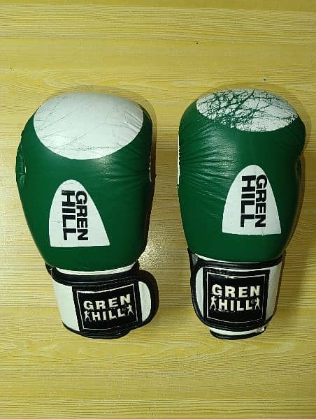 Boxing Gloves 1