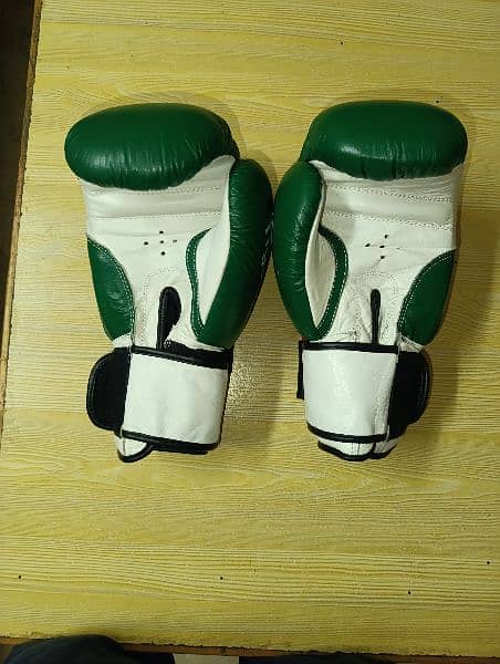 Boxing Gloves 2