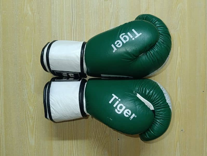 Boxing Gloves 5