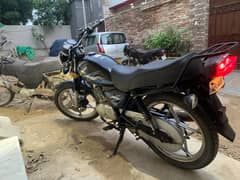 suzuki 150 urgent 0