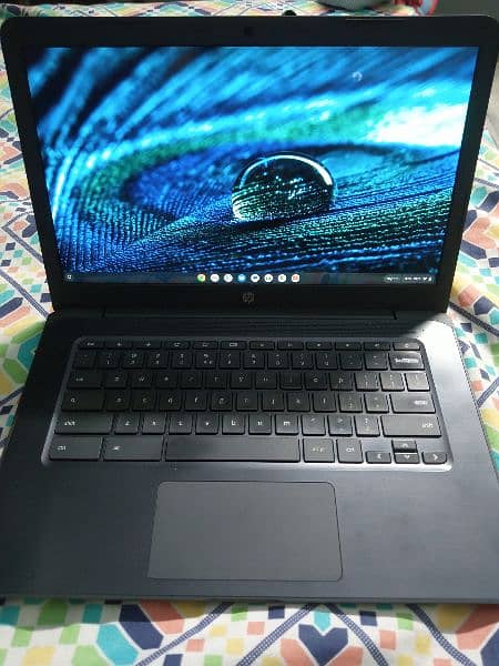 HP / Lenovo Chrome Book 4